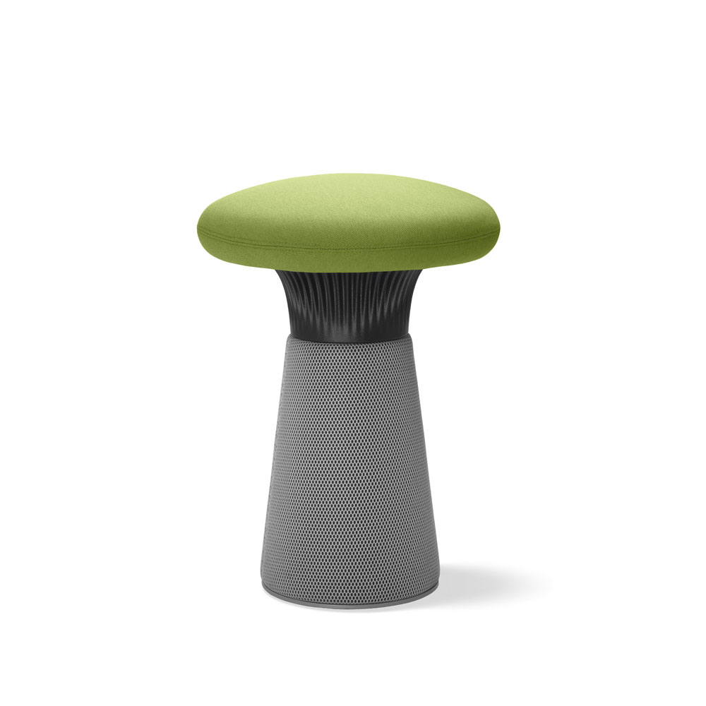 Funghi – N1
